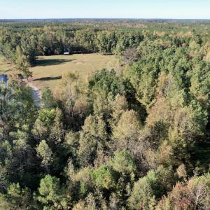 Photo #7 of SOLD property in Off Christanna Hwy, Alberta, VA 18.2 acres