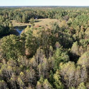 Photo #8 of SOLD property in Off Christanna Hwy, Alberta, VA 18.2 acres