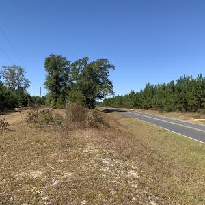 Photo #2 of SOLD property in Off Lee Road, Gibson, NC 3.7 acres