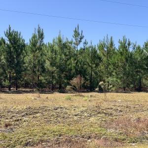 Photo #6 of SOLD property in Off Lee Road, Gibson, NC 3.7 acres