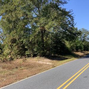 Photo #7 of SOLD property in Off Lee Road, Gibson, NC 3.7 acres