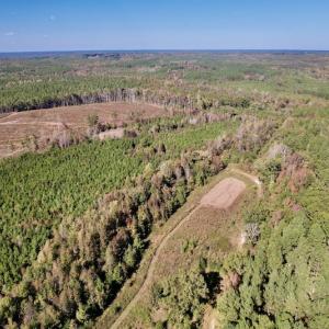 Photo #10 of SOLD property in Off Silvertown Road, Enfield, NC 75.0 acres