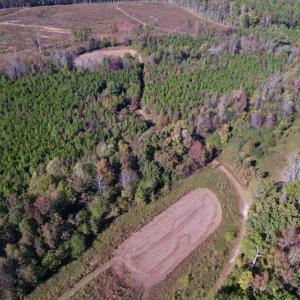 Photo #11 of SOLD property in Off Silvertown Road, Enfield, NC 75.0 acres