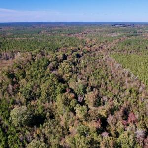 Photo #12 of SOLD property in Off Silvertown Road, Enfield, NC 75.0 acres