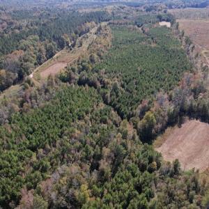 Photo #13 of SOLD property in Off Silvertown Road, Enfield, NC 75.0 acres