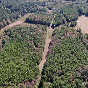 Photo #15 of SOLD property in Off Silvertown Road, Enfield, NC 75.0 acres