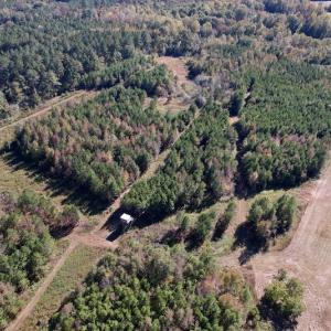 Photo #16 of Off Silvertown Road, Enfield, NC 75.0 acres