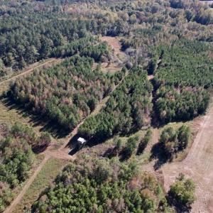 Photo #16 of SOLD property in Off Silvertown Road, Enfield, NC 75.0 acres