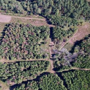 Photo #17 of SOLD property in Off Silvertown Road, Enfield, NC 75.0 acres