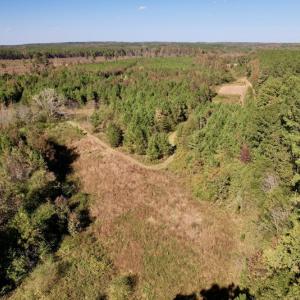 Photo #18 of SOLD property in Off Silvertown Road, Enfield, NC 75.0 acres