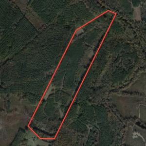 Photo #1 of Off Silvertown Road, Enfield, NC 75.0 acres