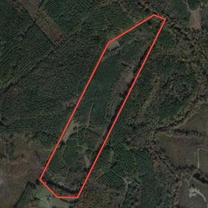 Photo #1 of SOLD property in Off Silvertown Road, Enfield, NC 75.0 acres