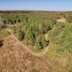 Photo #19 of SOLD property in Off Silvertown Road, Enfield, NC 75.0 acres