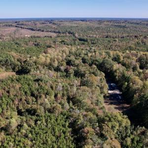 Photo #22 of Off Silvertown Road, Enfield, NC 75.0 acres