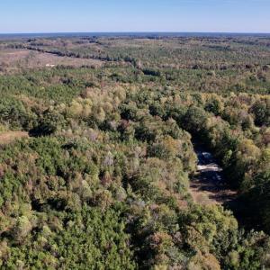 Photo #22 of SOLD property in Off Silvertown Road, Enfield, NC 75.0 acres