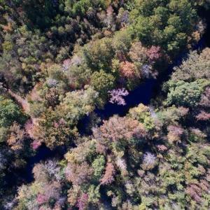 Photo #24 of SOLD property in Off Silvertown Road, Enfield, NC 75.0 acres