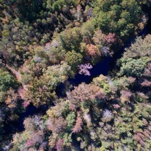 Photo #24 of Off Silvertown Road, Enfield, NC 75.0 acres