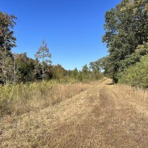 Photo #25 of SOLD property in Off Silvertown Road, Enfield, NC 75.0 acres