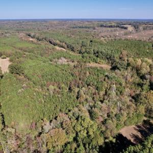 Photo #2 of SOLD property in Off Silvertown Road, Enfield, NC 75.0 acres