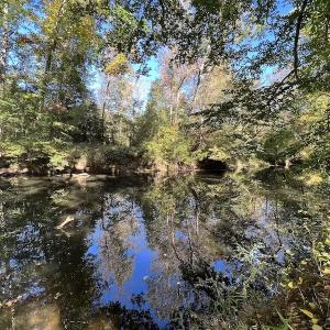 Photo #29 of SOLD property in Off Silvertown Road, Enfield, NC 75.0 acres