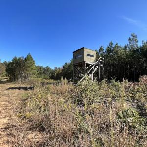 Photo #35 of SOLD property in Off Silvertown Road, Enfield, NC 75.0 acres