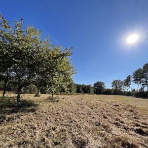 Photo #37 of SOLD property in Off Silvertown Road, Enfield, NC 75.0 acres