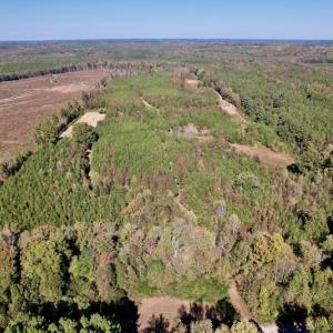 Photo #3 of SOLD property in Off Silvertown Road, Enfield, NC 75.0 acres