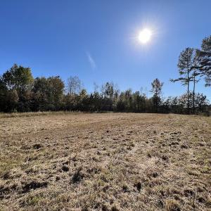 Photo #40 of SOLD property in Off Silvertown Road, Enfield, NC 75.0 acres