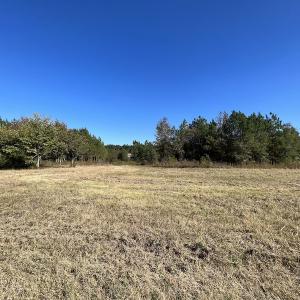 Photo #41 of SOLD property in Off Silvertown Road, Enfield, NC 75.0 acres