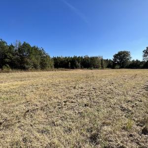 Photo #42 of Off Silvertown Road, Enfield, NC 75.0 acres