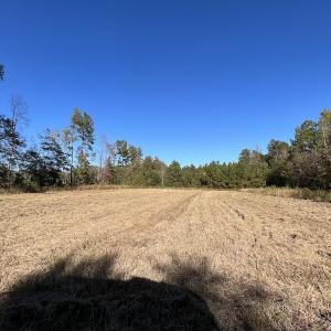 Photo #43 of SOLD property in Off Silvertown Road, Enfield, NC 75.0 acres