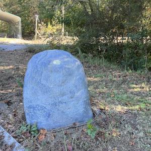Photo #48 of SOLD property in Off Silvertown Road, Enfield, NC 75.0 acres