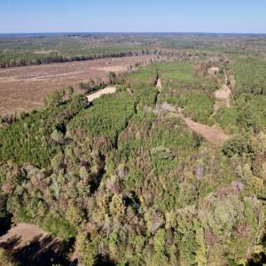 Photo #4 of Off Silvertown Road, Enfield, NC 75.0 acres