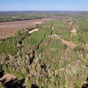 Photo #4 of SOLD property in Off Silvertown Road, Enfield, NC 75.0 acres