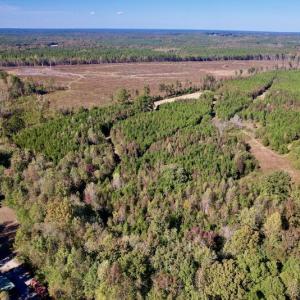 Photo #5 of Off Silvertown Road, Enfield, NC 75.0 acres
