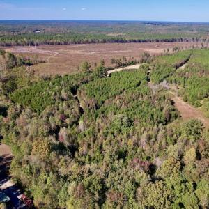 Photo #5 of SOLD property in Off Silvertown Road, Enfield, NC 75.0 acres