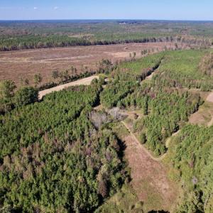 Photo #6 of SOLD property in Off Silvertown Road, Enfield, NC 75.0 acres
