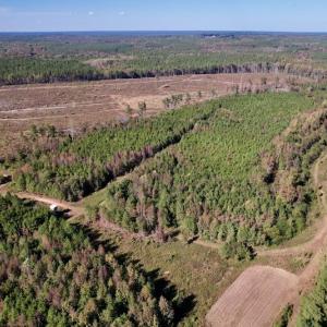 Photo #8 of SOLD property in Off Silvertown Road, Enfield, NC 75.0 acres