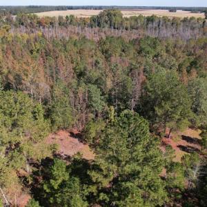 Photo #2 of SOLD property in Off Richland Drive, Pembroke, NC 3.5 acres