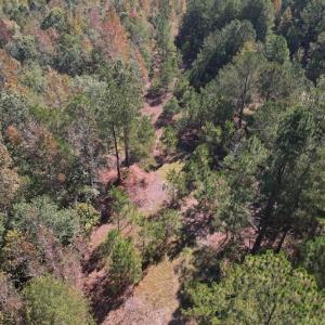 Photo #12 of SOLD property in Off Richland Drive, Pembroke, NC 3.5 acres