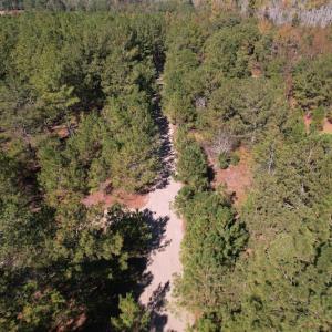 Photo #15 of SOLD property in Off Richland Drive, Pembroke, NC 3.5 acres