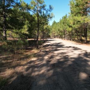Photo #16 of SOLD property in Off Richland Drive, Pembroke, NC 3.5 acres