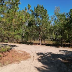 Photo #17 of SOLD property in Off Richland Drive, Pembroke, NC 3.5 acres