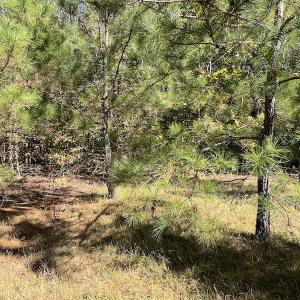 Photo #18 of SOLD property in Off Richland Drive, Pembroke, NC 3.5 acres
