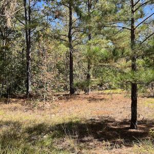Photo #19 of SOLD property in Off Richland Drive, Pembroke, NC 3.5 acres