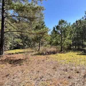 Photo #20 of SOLD property in Off Richland Drive, Pembroke, NC 3.5 acres