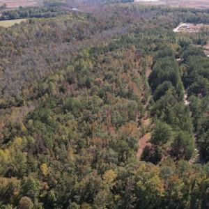 Photo #3 of SOLD property in Off Richland Drive, Pembroke, NC 3.5 acres