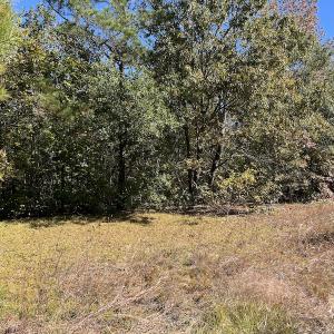 Photo #25 of SOLD property in Off Richland Drive, Pembroke, NC 3.5 acres