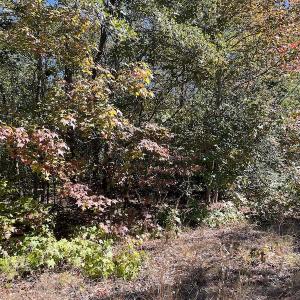 Photo #26 of SOLD property in Off Richland Drive, Pembroke, NC 3.5 acres