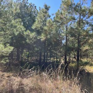 Photo #27 of SOLD property in Off Richland Drive, Pembroke, NC 3.5 acres